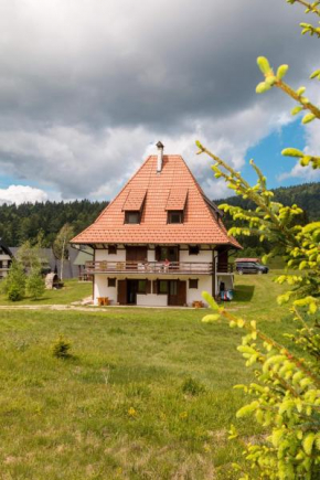 Apartmani ZELENI MEDA